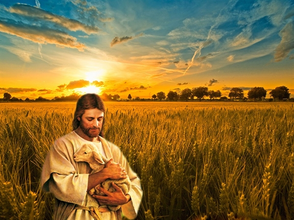 Vangelo della Domenica: Il “buon” e “bel” pastore!