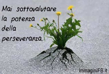 “Con la vostra perseveranza salverete la vostra vita…”