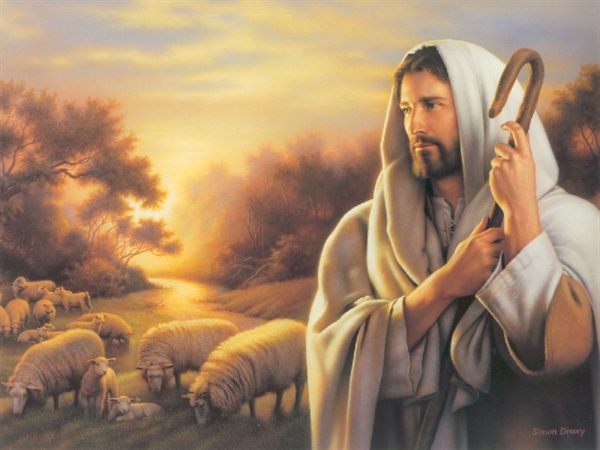 Vangelo della Domenica: Gesù il Buon Pastore