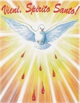 Vangelo della Domenica: PENTECOSTE – “…vieni o Spirito Consolatore, dono prezioso…del Risorto